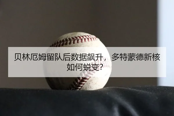 贝林厄姆留队后数据飙升，多特蒙德新核如何蜕变？